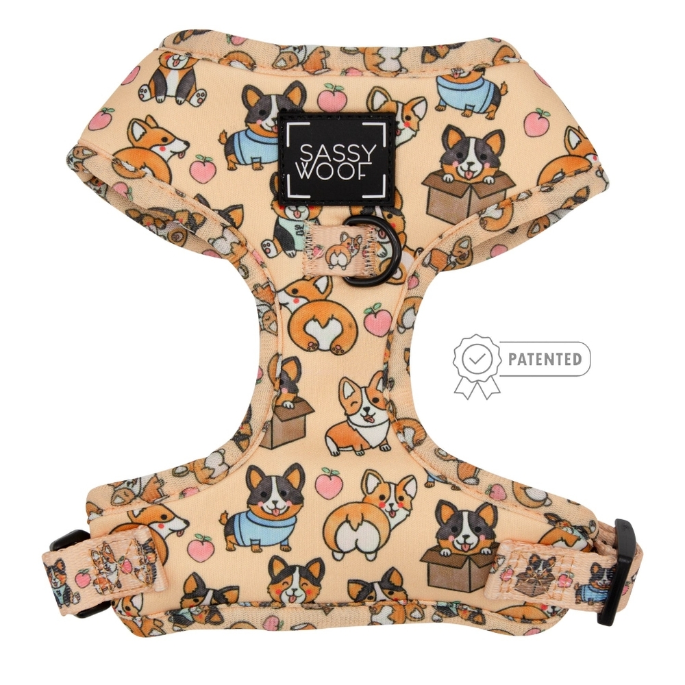 Sassy Woof Corgilicious Small Dog Harness